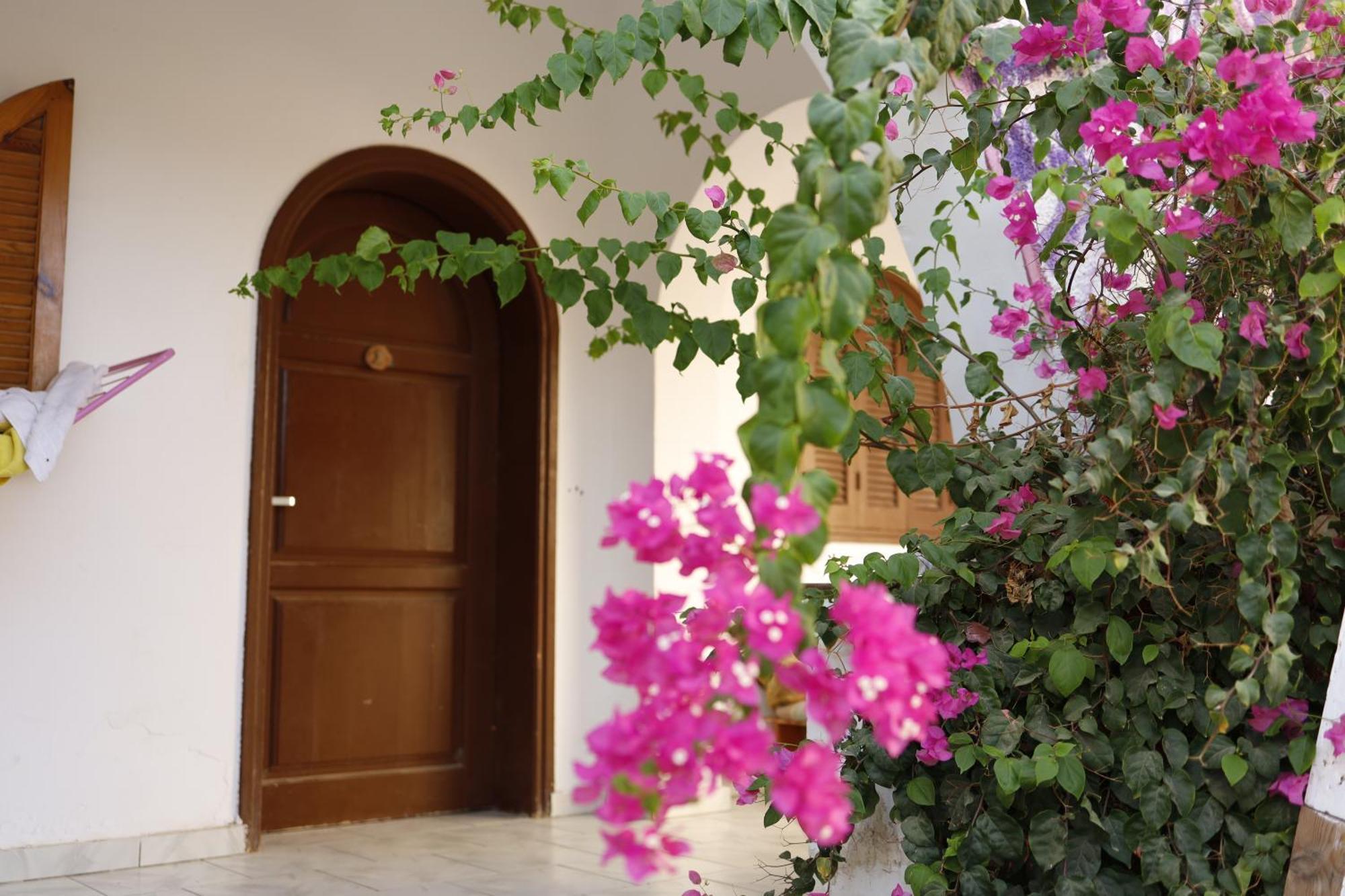 Hostel Nook Dahab Exterior foto
